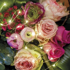 LED Strangbeleuchtung - silber/warmes weiss, PVC, 45cm-10L