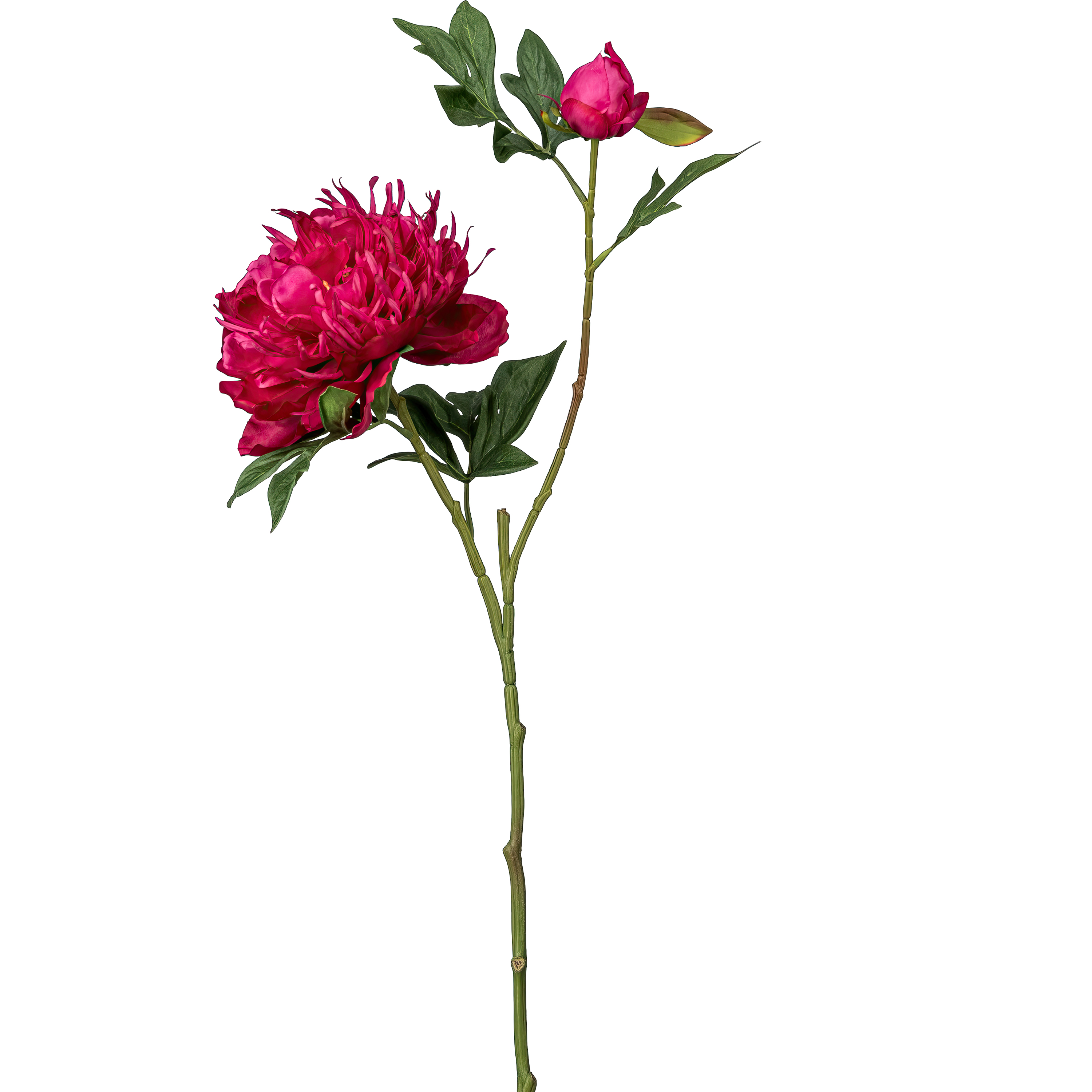 Kunstpfingstrose - Peonie, 65cm, rubin