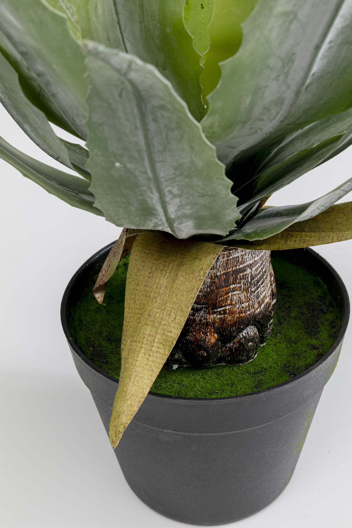 Deko Pflanze Agave - Accessoires