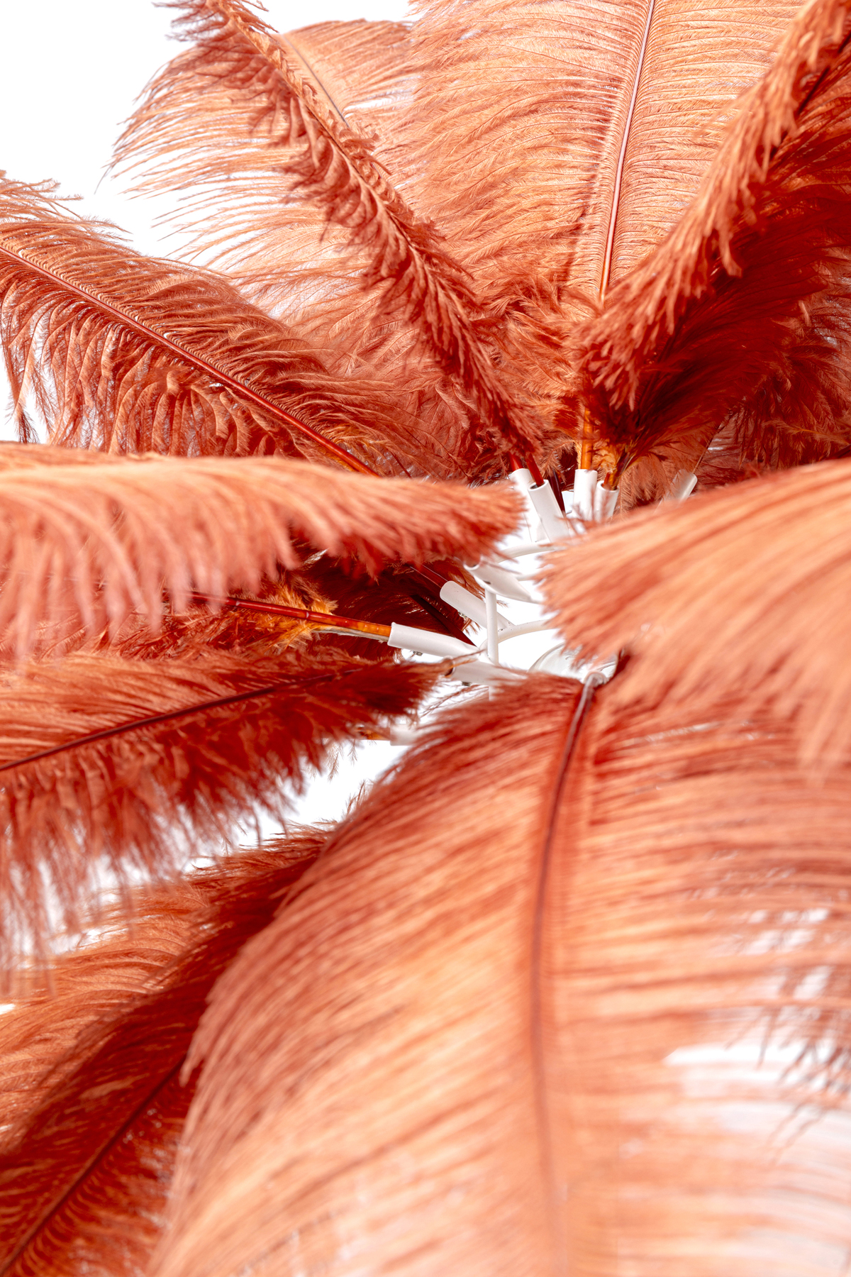 Tischleuchte Feather Palm, rot, messing - Leuchten