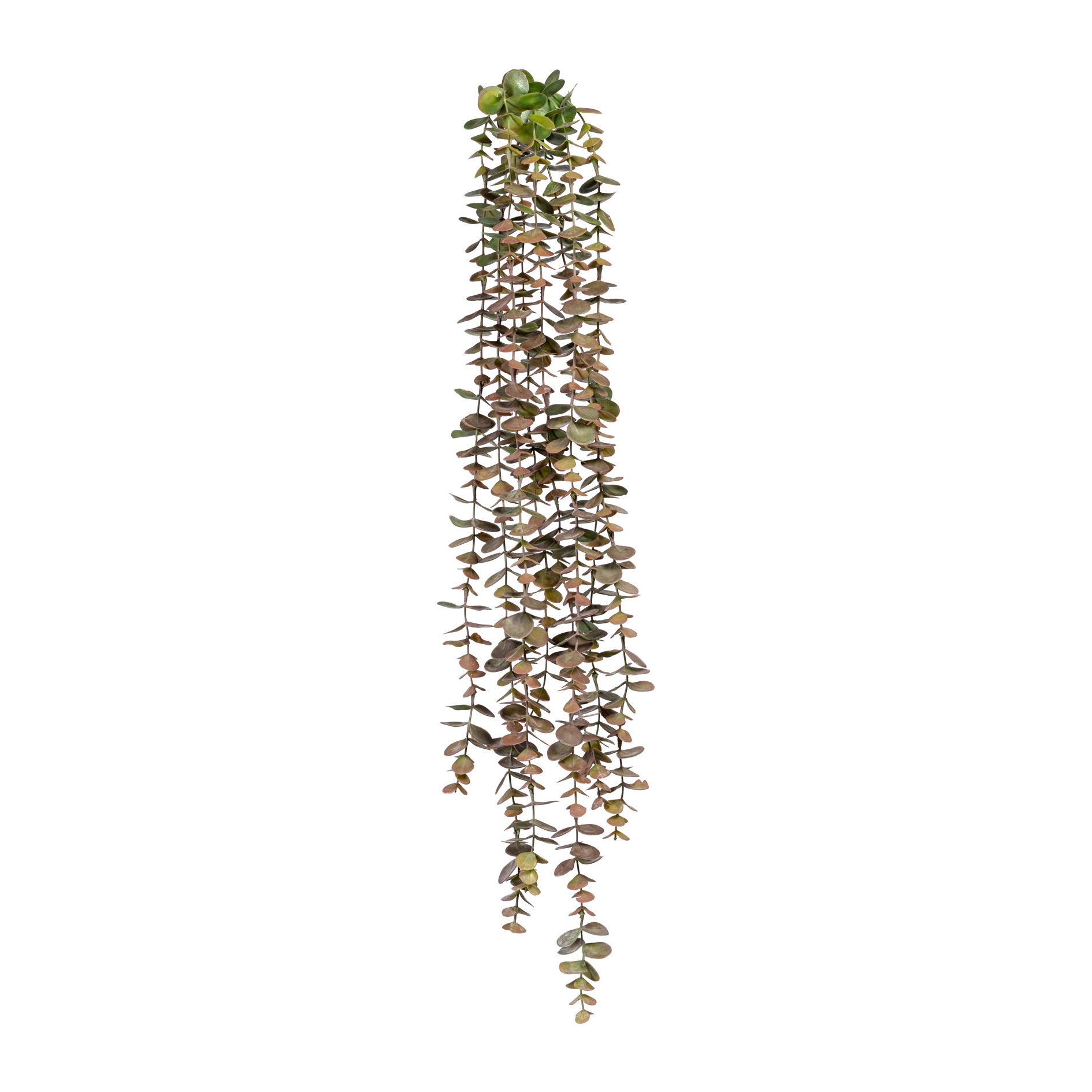 Eukalyptushänger, 80cm - grünrosa