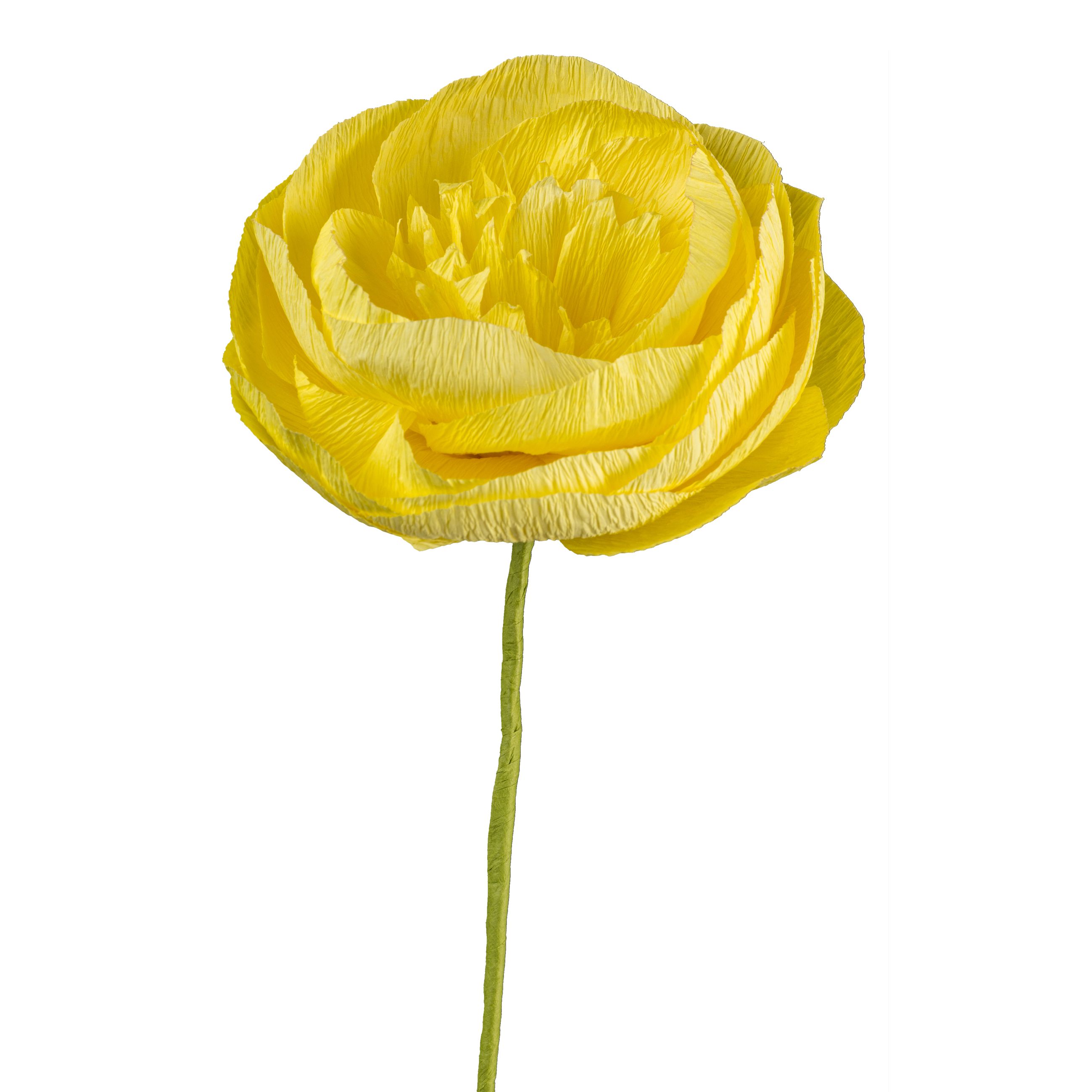 Papierblume - Papierblume Ranunkel, 45 cm, gelb