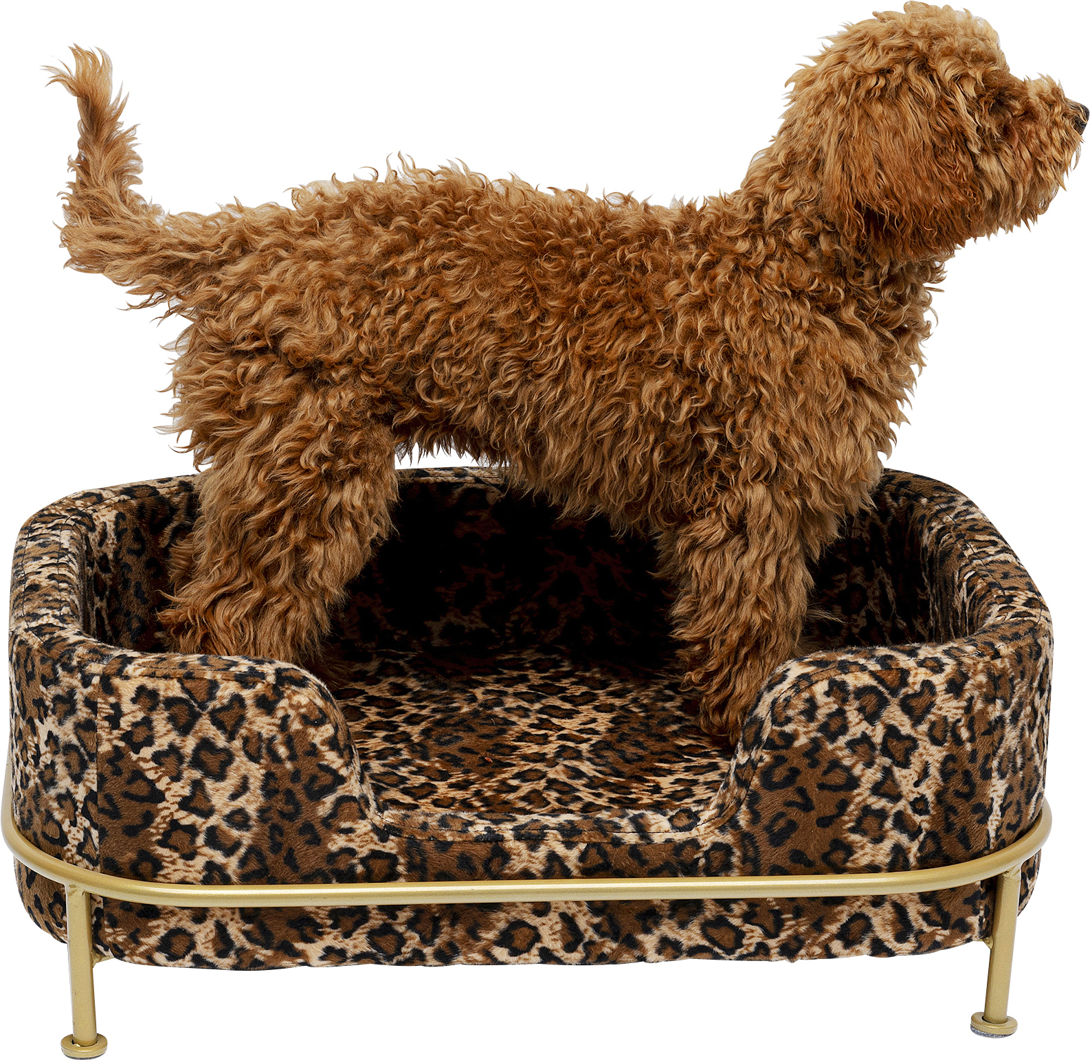 Hund/Katzenbett Diva Leo, Samtoptik - Möbel