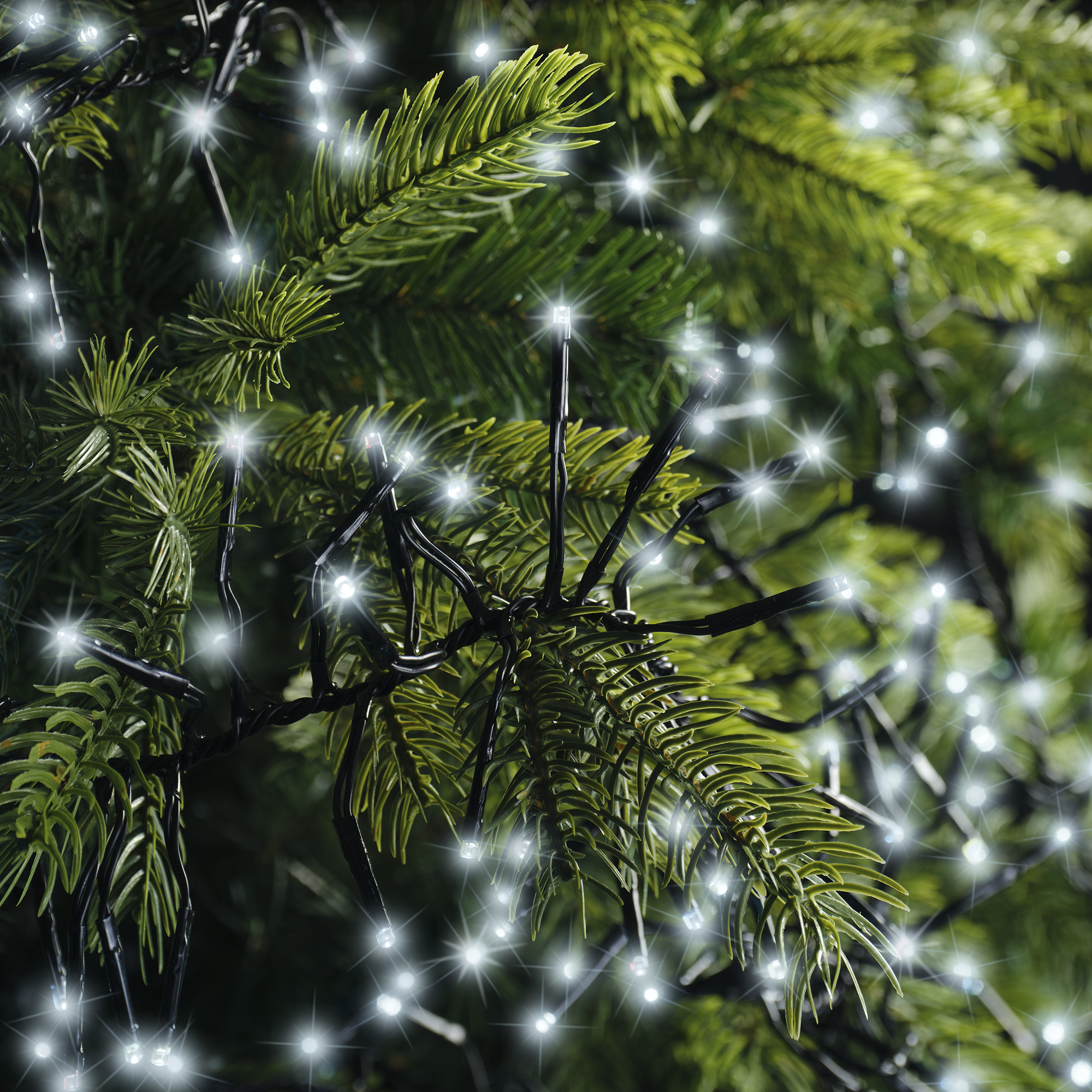 LED Clusterbeleuchtung Twinkle