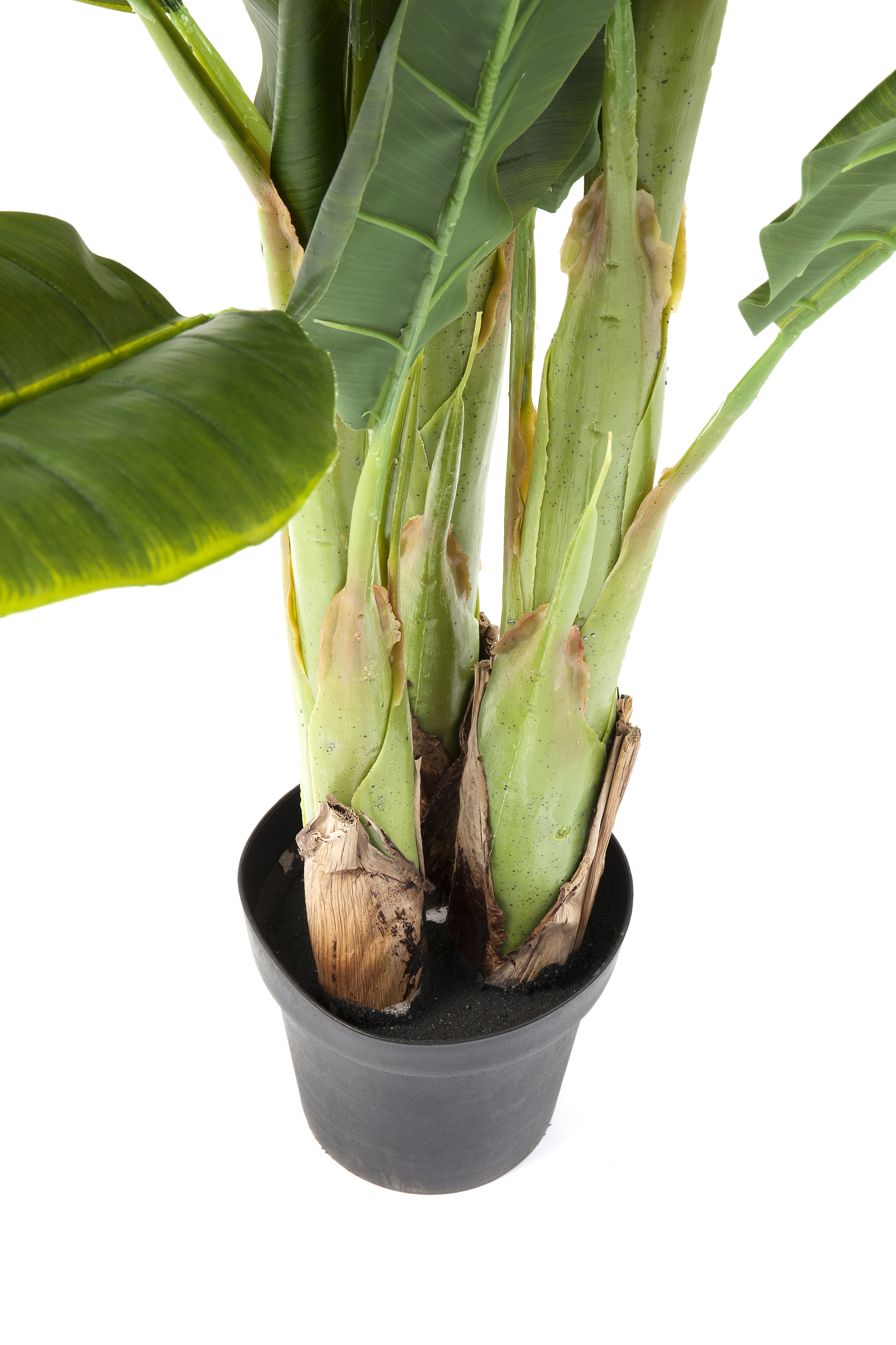 Deko Pflanze Banana Tree - Accessoires