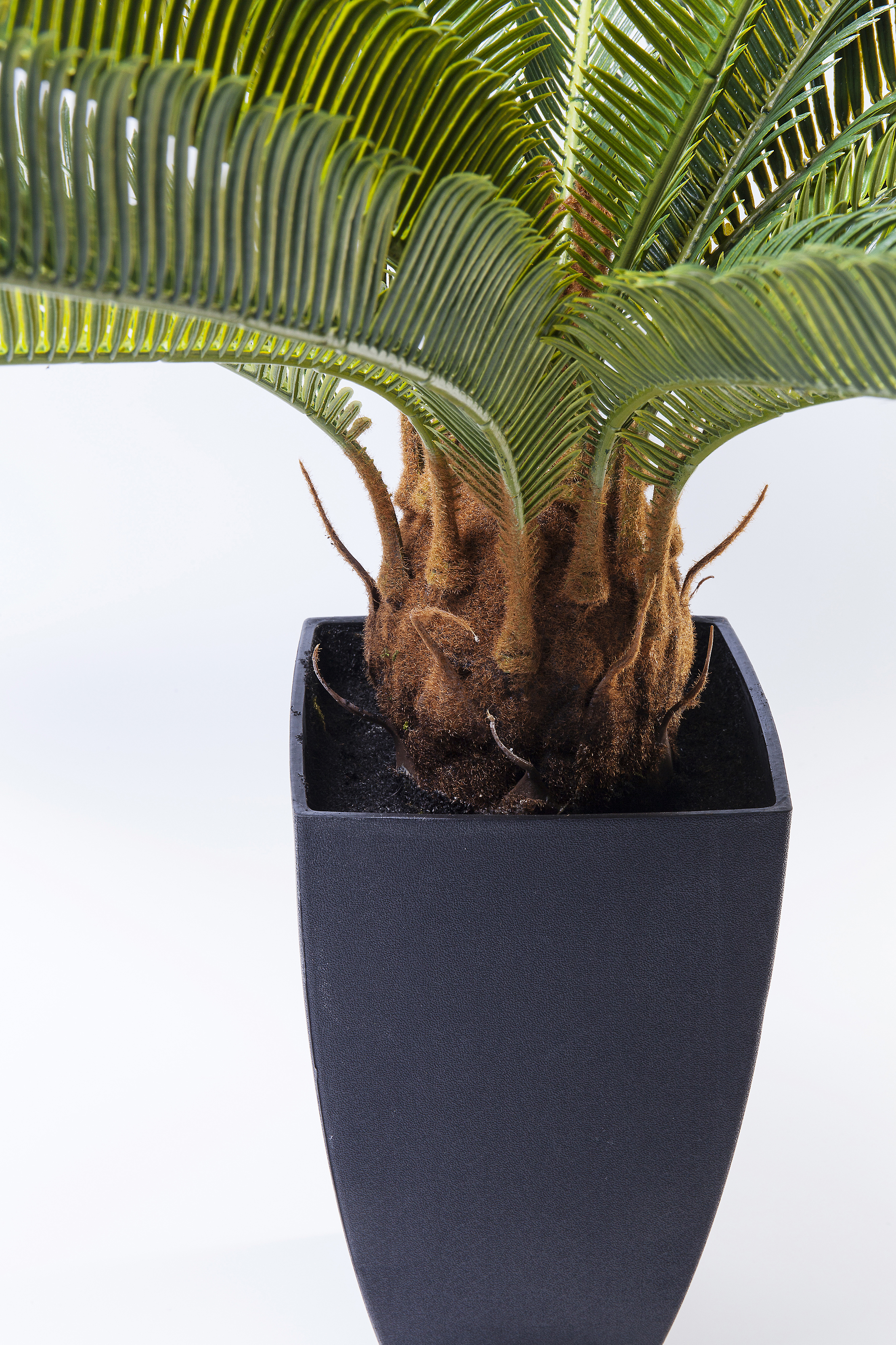 Deko Pflanze Cycas Tree - Accessoires