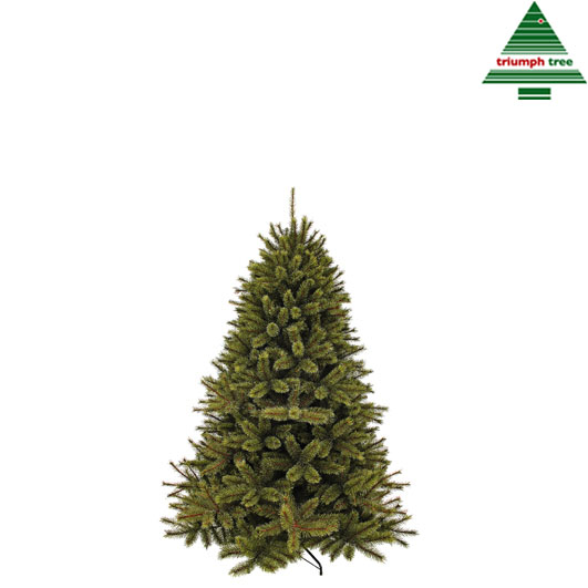 Tannenbaum Waldkiefer - TIPS 396 - h120xd99cm