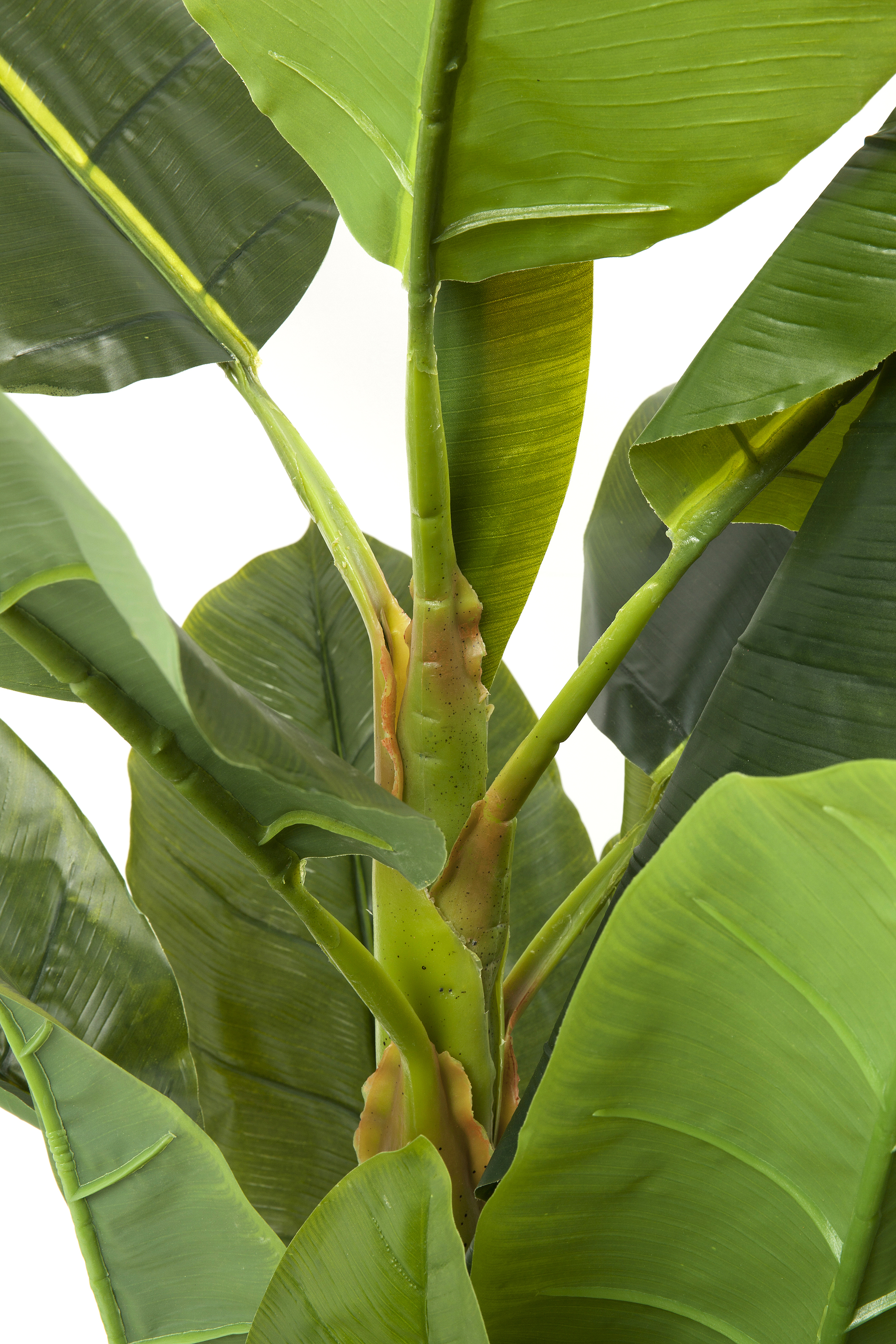 Deko Pflanze Banana Tree - Accessoires
