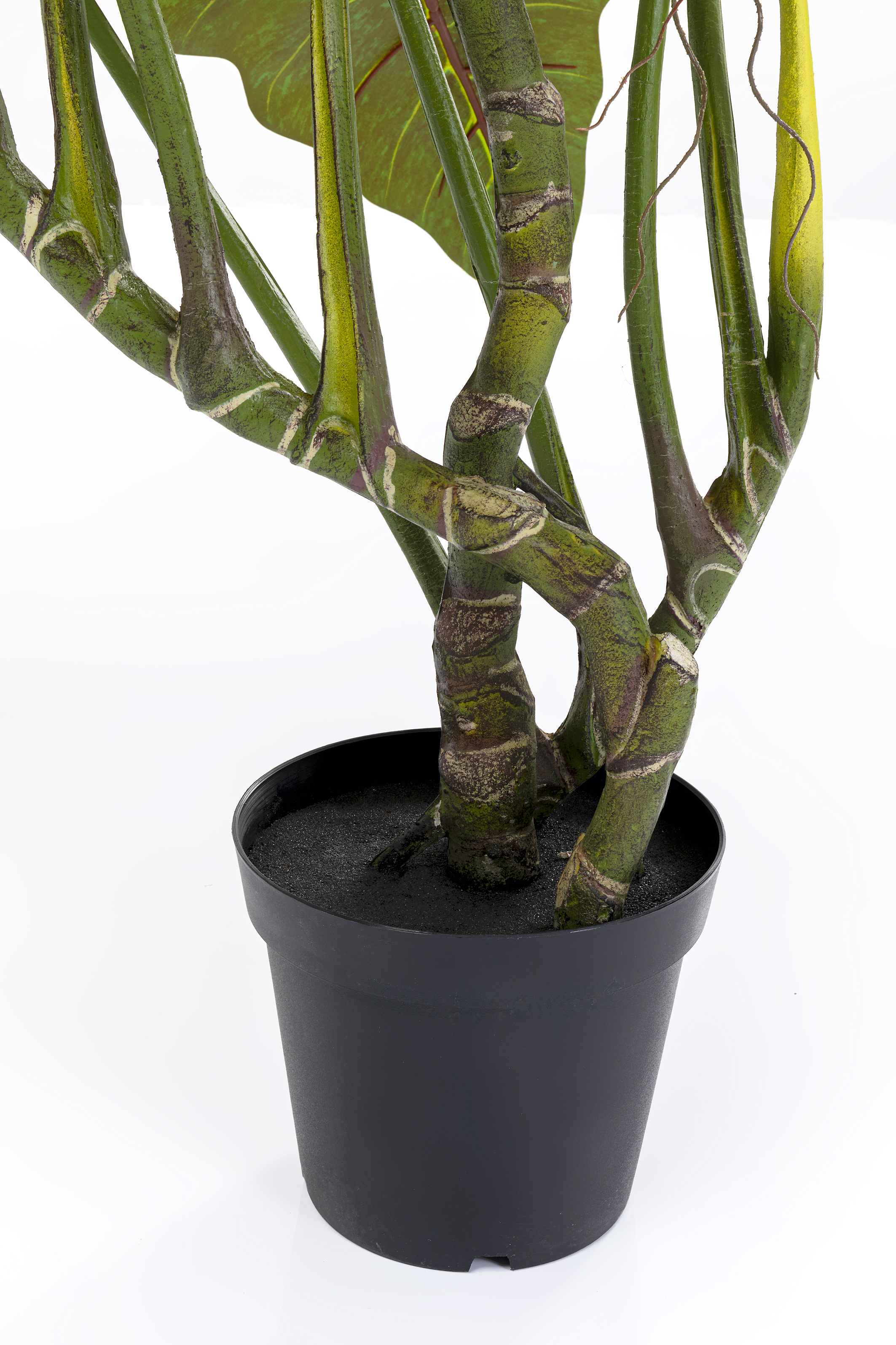 Deko Pflanze Taro - Accessoires