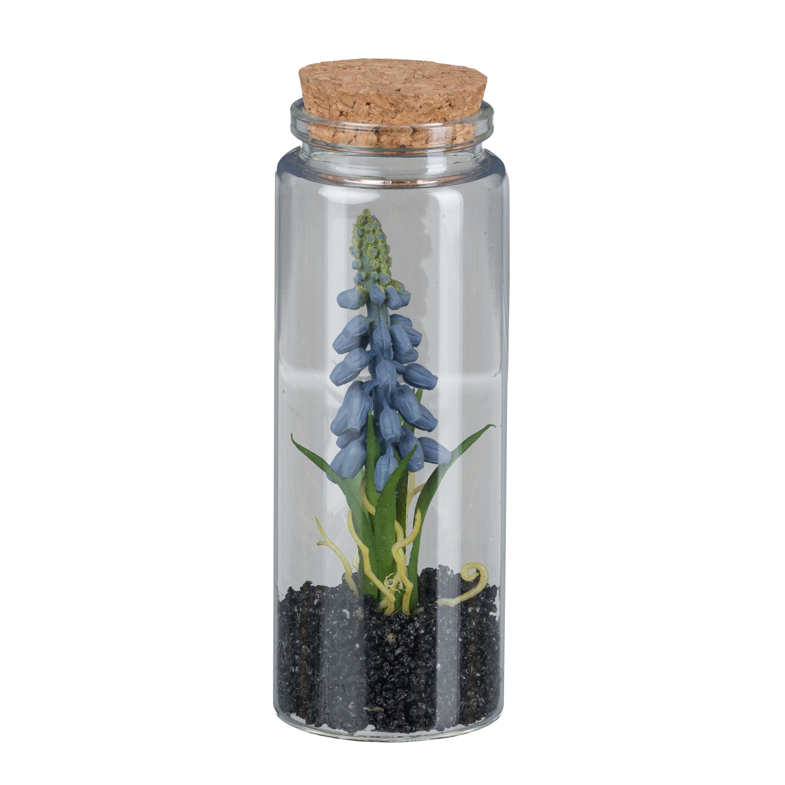 Kunstblume - Muscari im Glas mit Deckel, 12,5 cm, blau