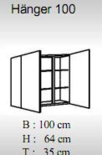 Küchen-Hängeschrank, 2-türig, 100 cm breit - Alina