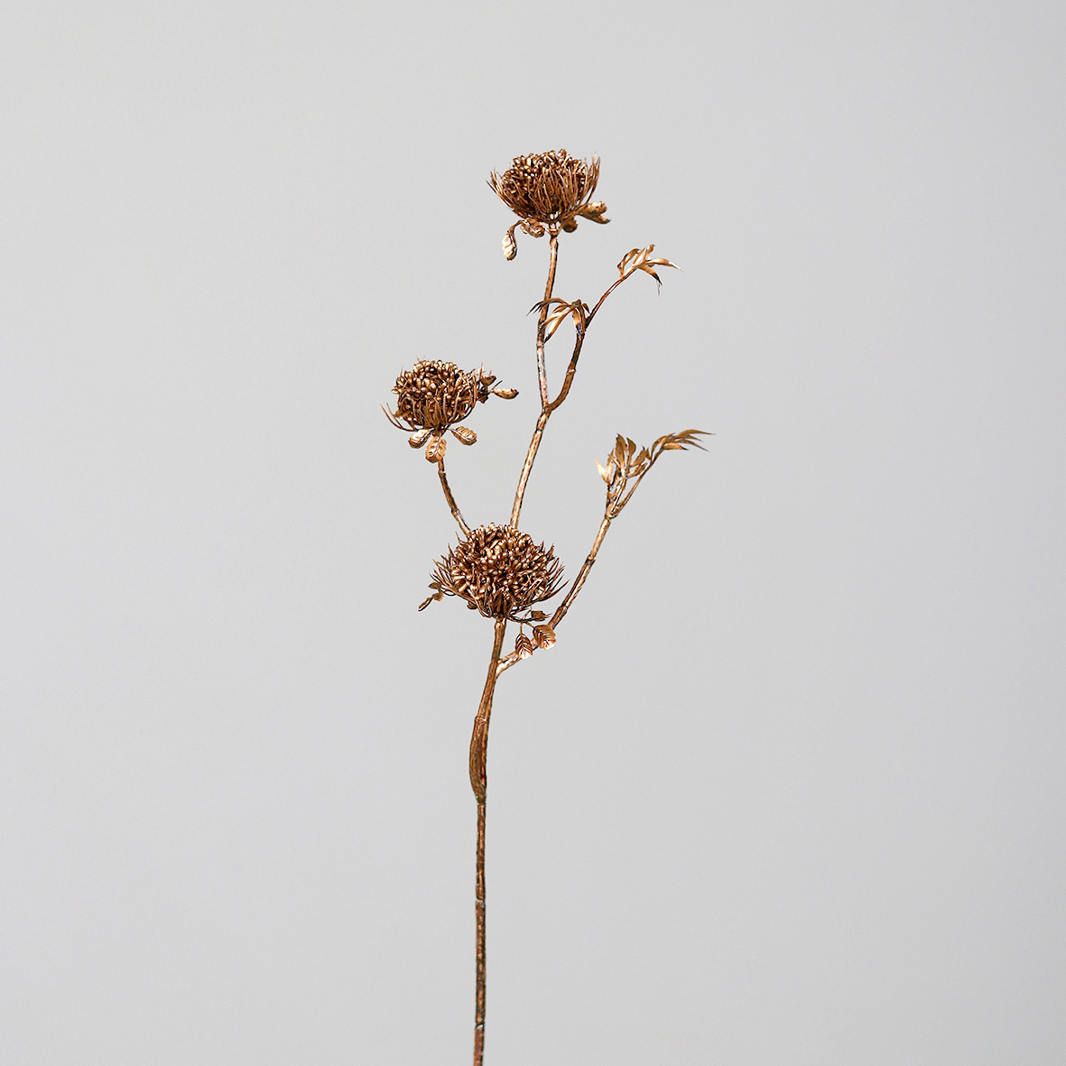 Fruchtstand, ca.  53 cm - gold-black
