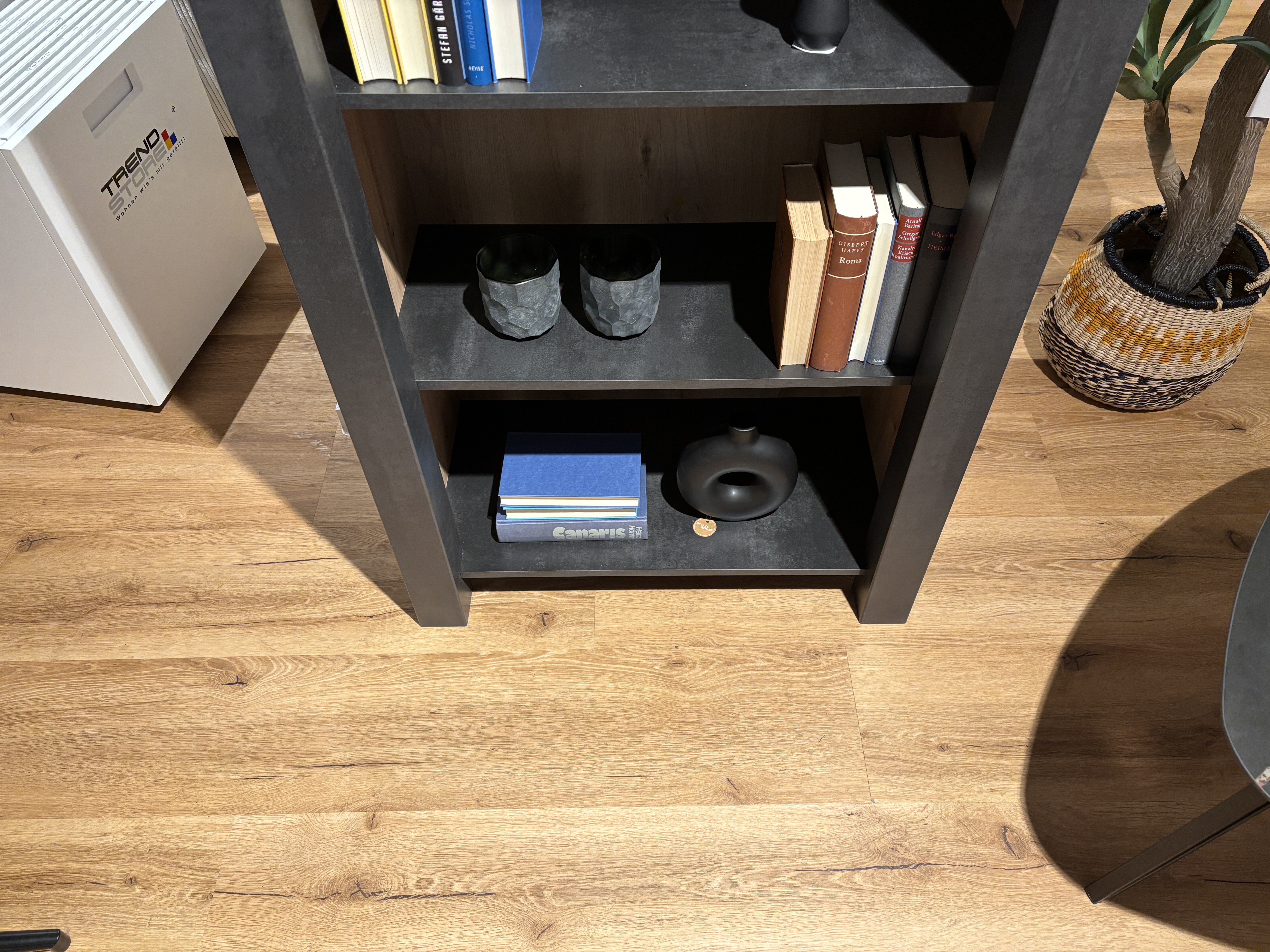 Standregal, asteiche/schwarzstahl - MyTrend229