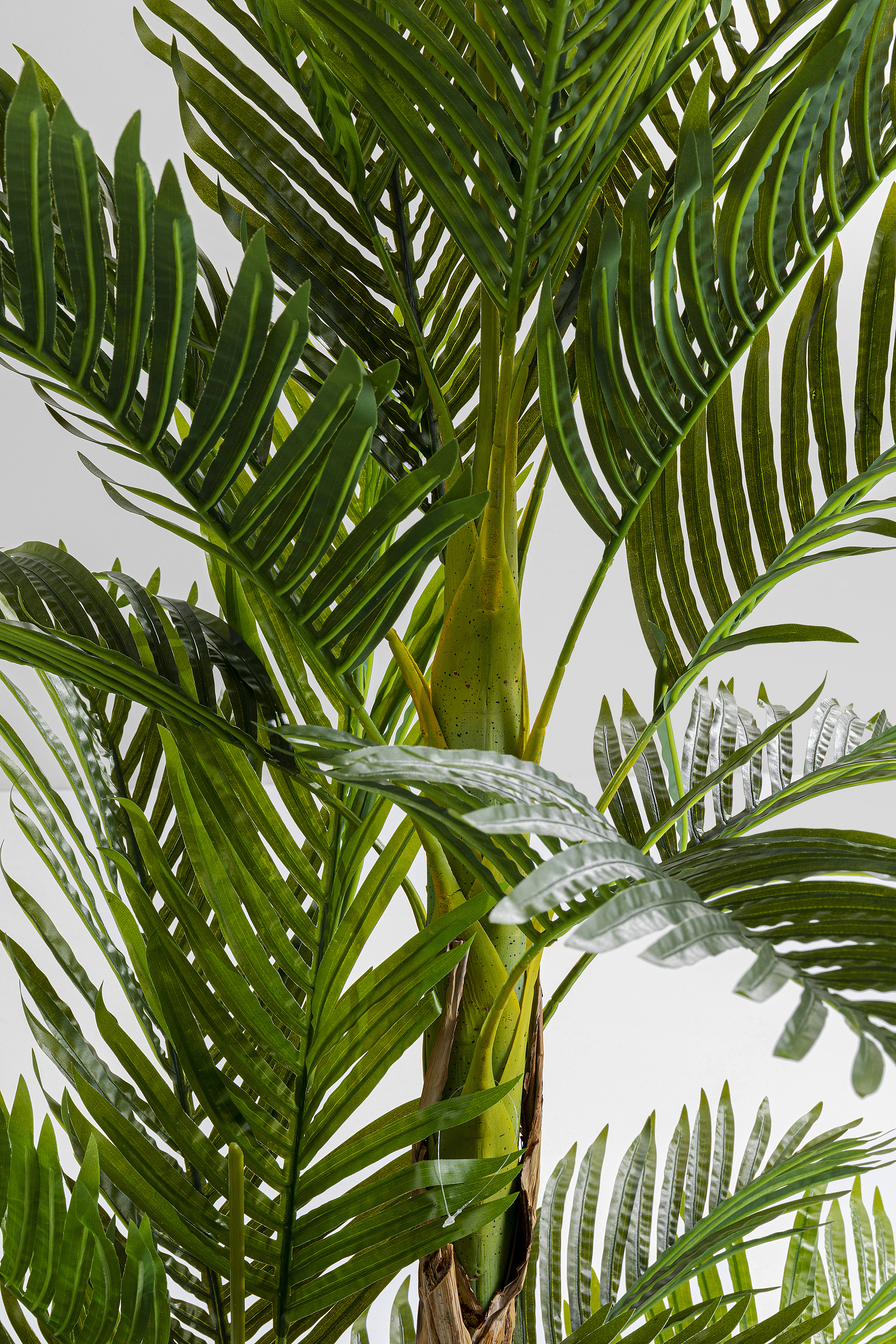 Deko Pflanze Palm Tree - Accessoires