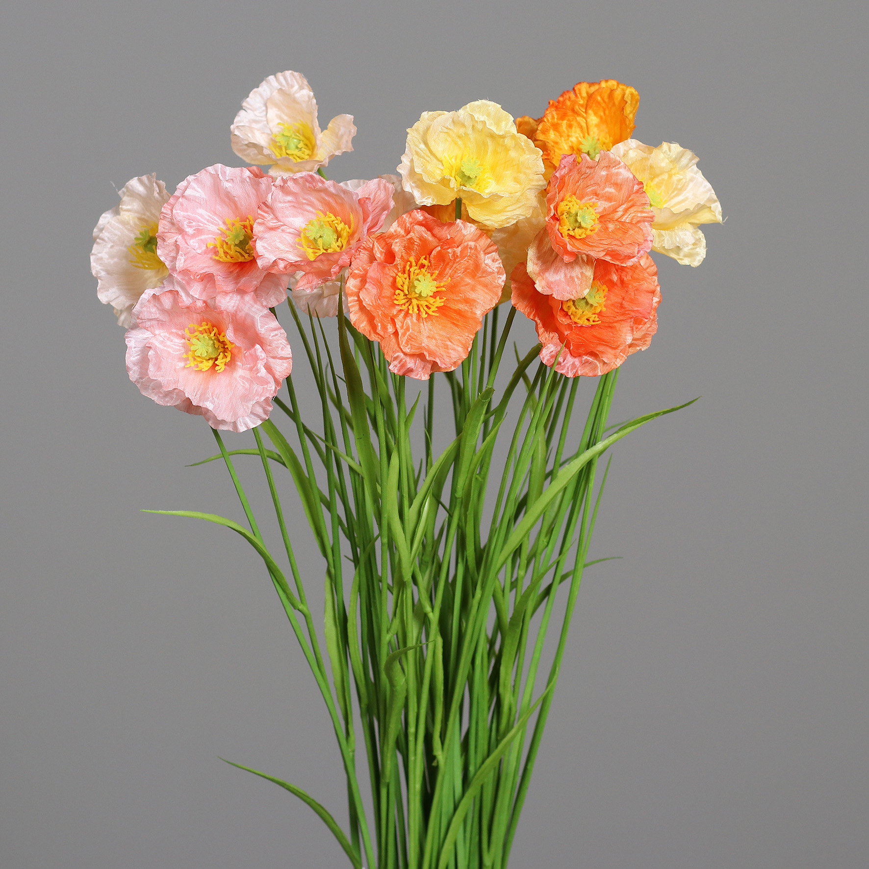 Mohn, sort. - 68cm, mit gras