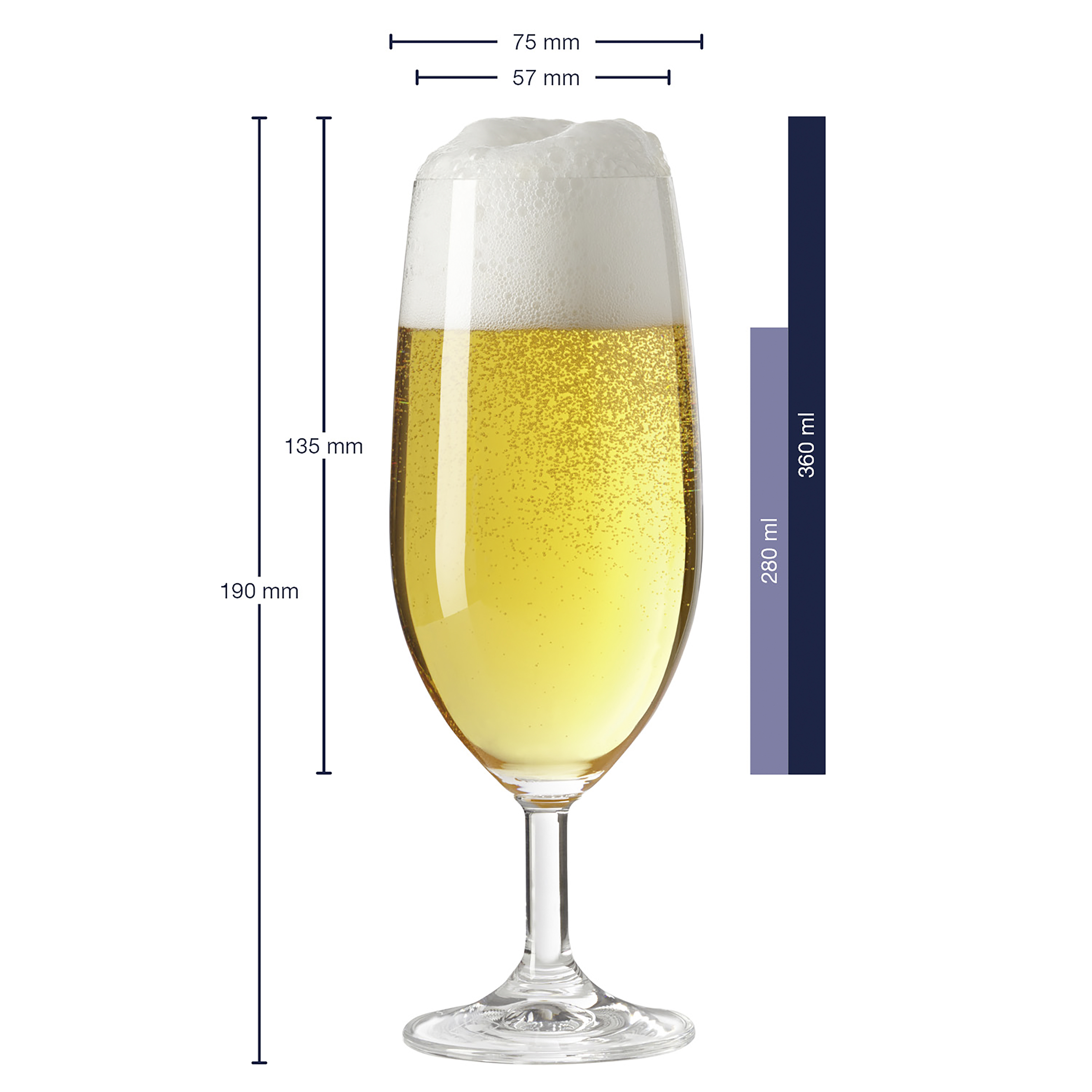 Bierglas Daily - klarglas, 360ml 