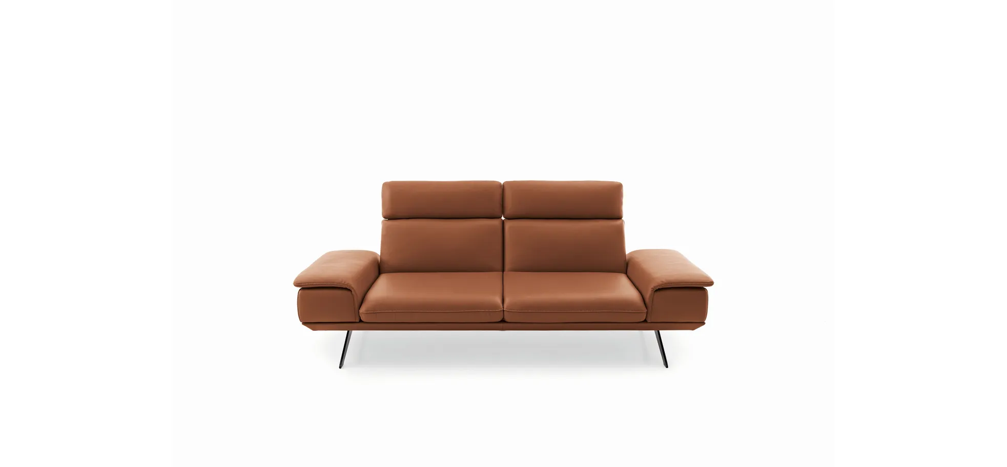 Sofa - 2,5-Sitzer, Kopfstütze/Armlehne verstellbar, Leder, Braungrün