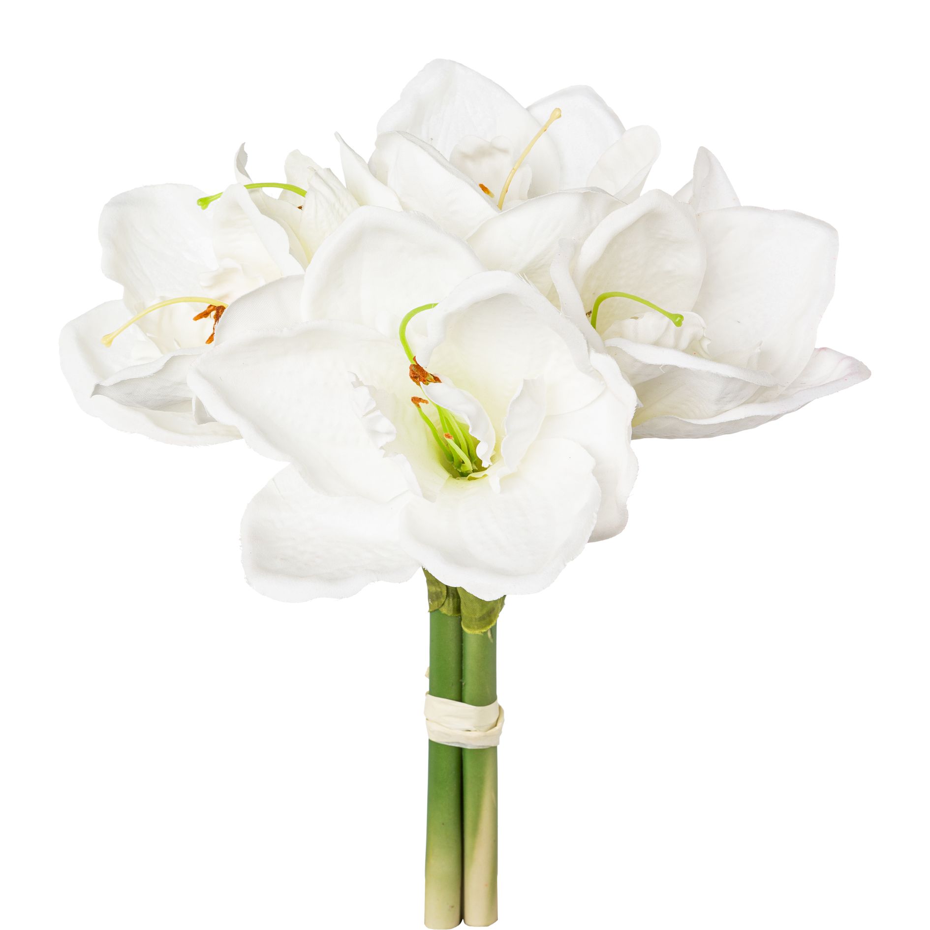 Amaryllis-Bund - weiß, ca. 32cm