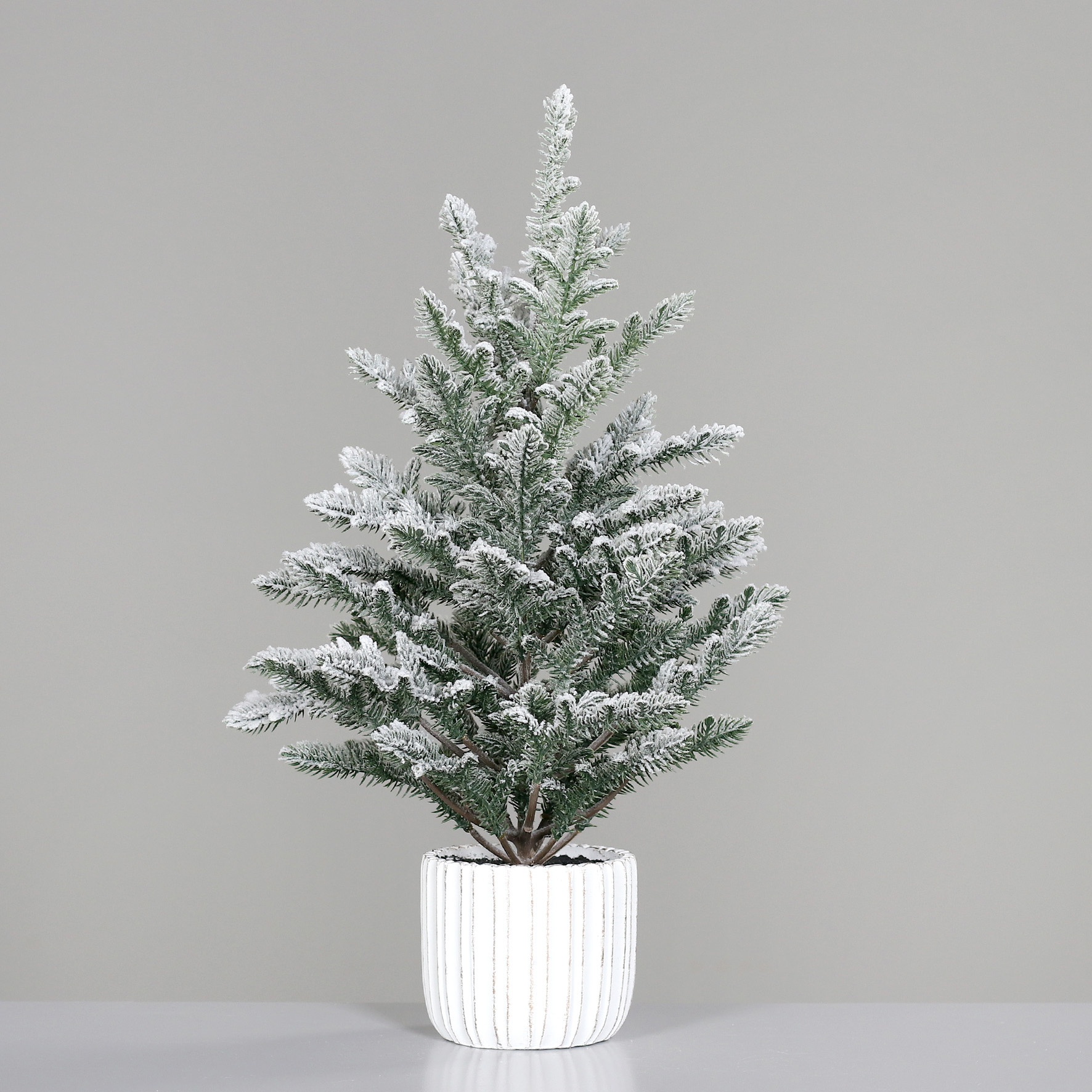 Tannenbaum im weißen Deko Zement Topf - Höhe ca.  55 cm