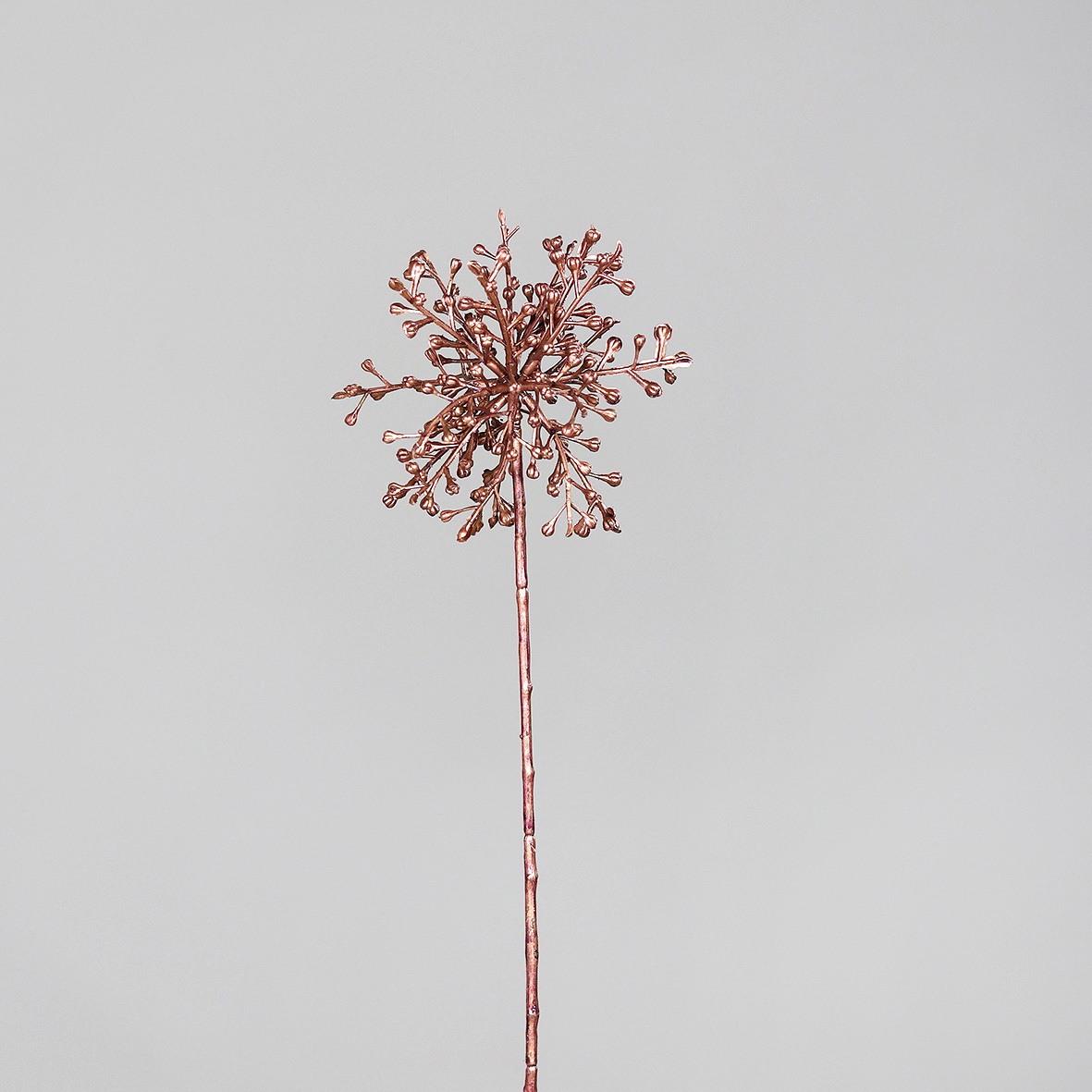 Agapanthus Fruchtstand, ca.  44 cm - rosee