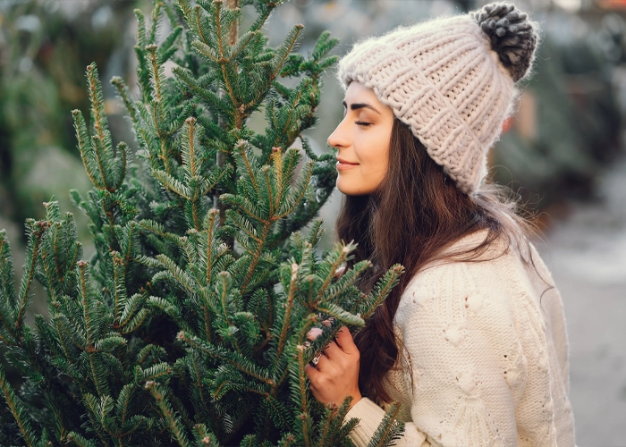 Meyerhoff Weihnachtsbaum-Deal • Nordmanntannen