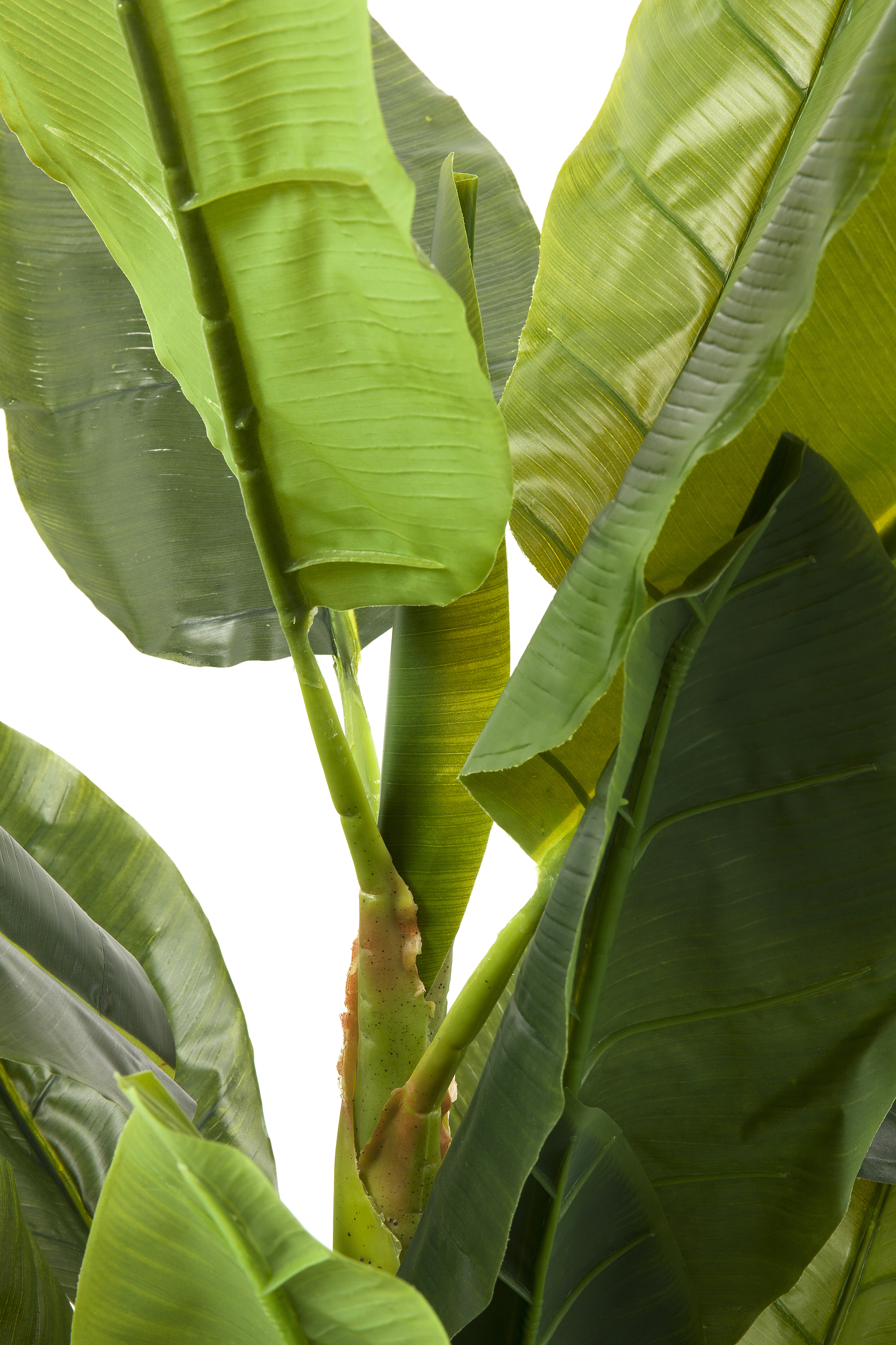 Deko Pflanze Banana Tree - Accessoires