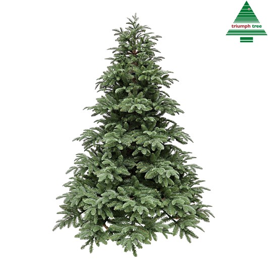 Tannenbaum Arlington grün - 3527 Spitzen Höhe ca. 260cm Ø 183cm