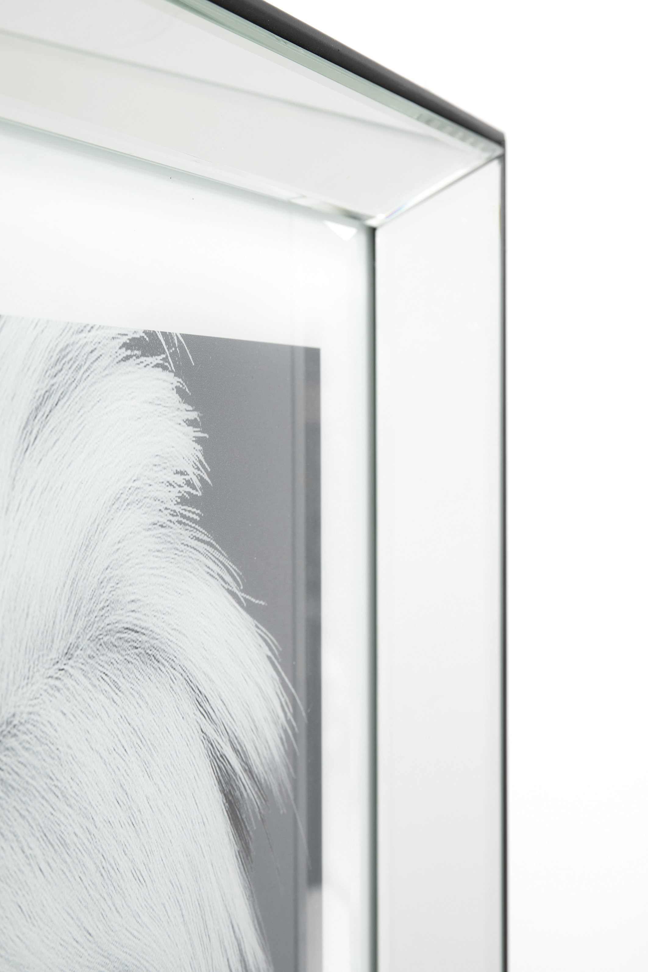 Bild Frame Mirror Artist Dog - Black Elegance