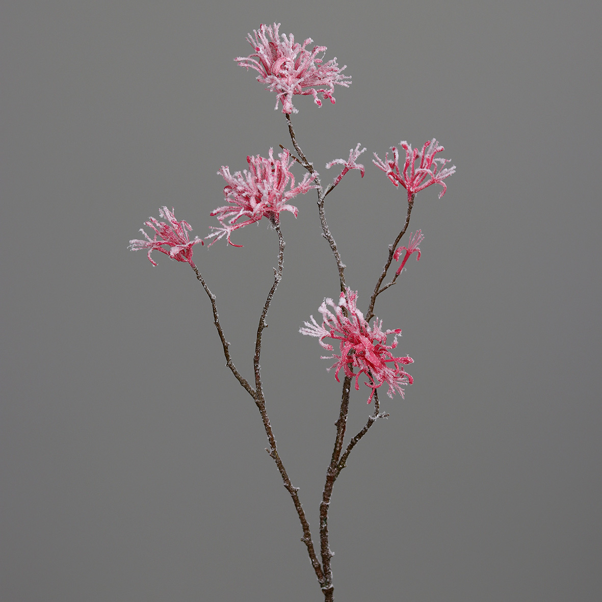 Blütenzweig beschneit, ca.  68 cm - peach