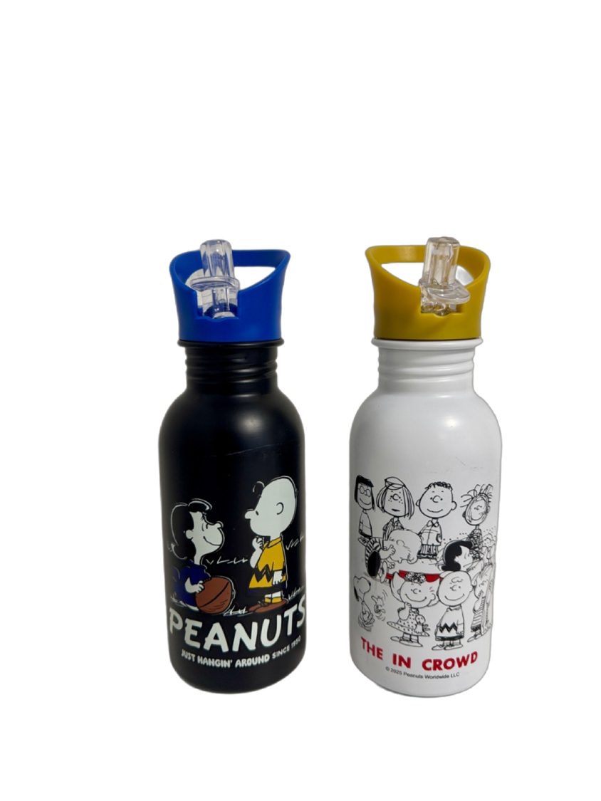 Trinkflasche Peanuts, 500ml - Metall/Kunststoff, schwarz