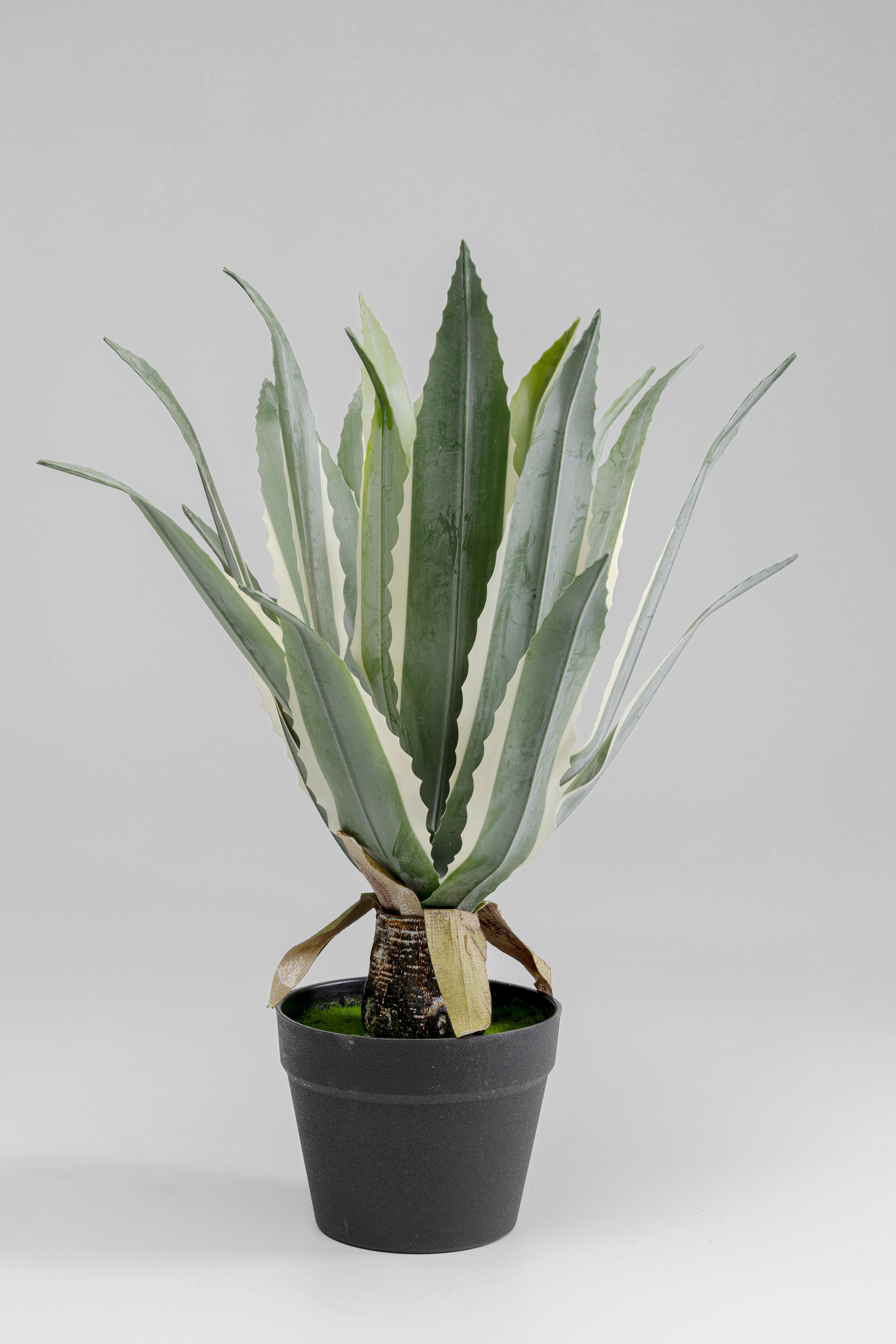 Deko Pflanze Agave - Accessoires