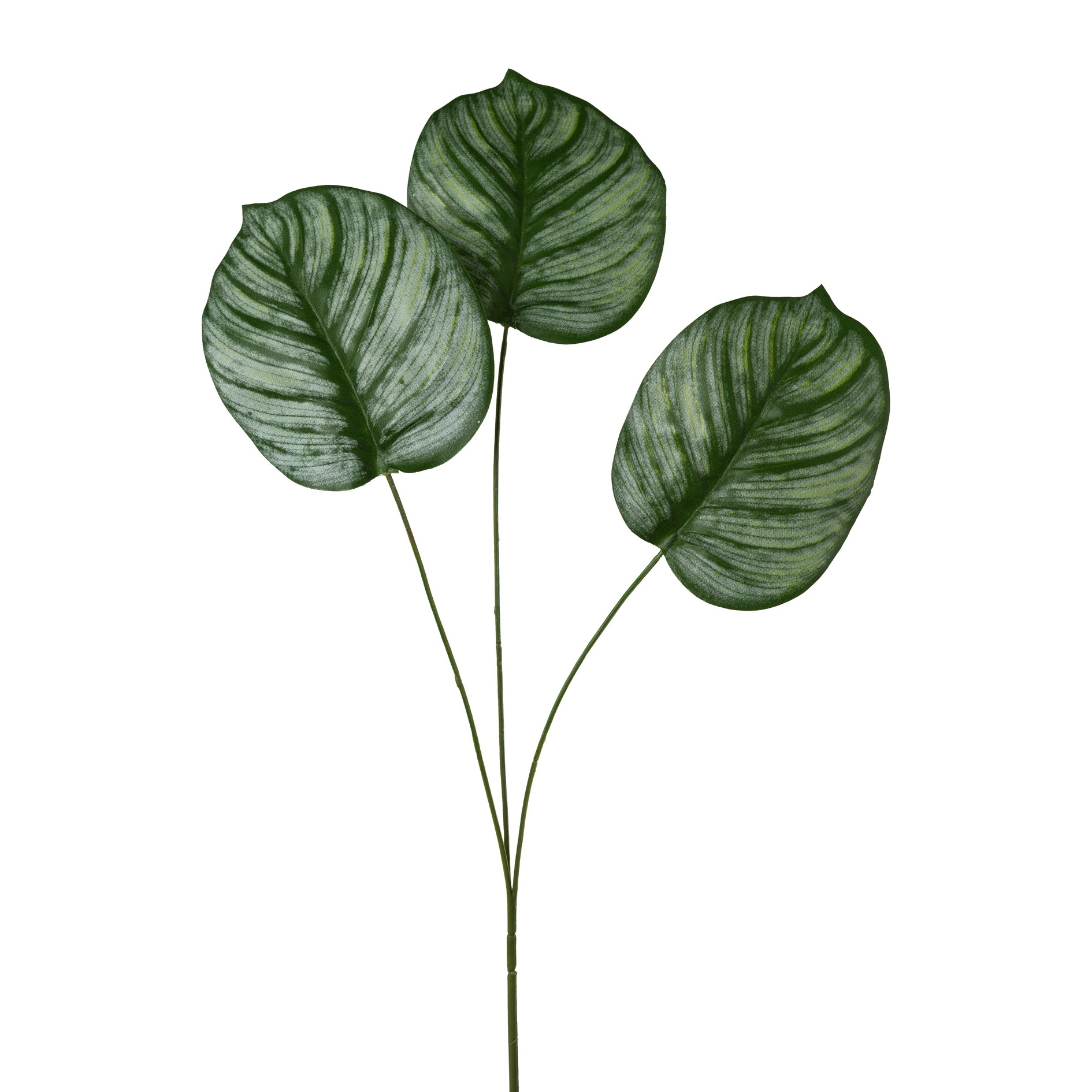 künstliches Blatt - Calatheablatt, 72 cm
