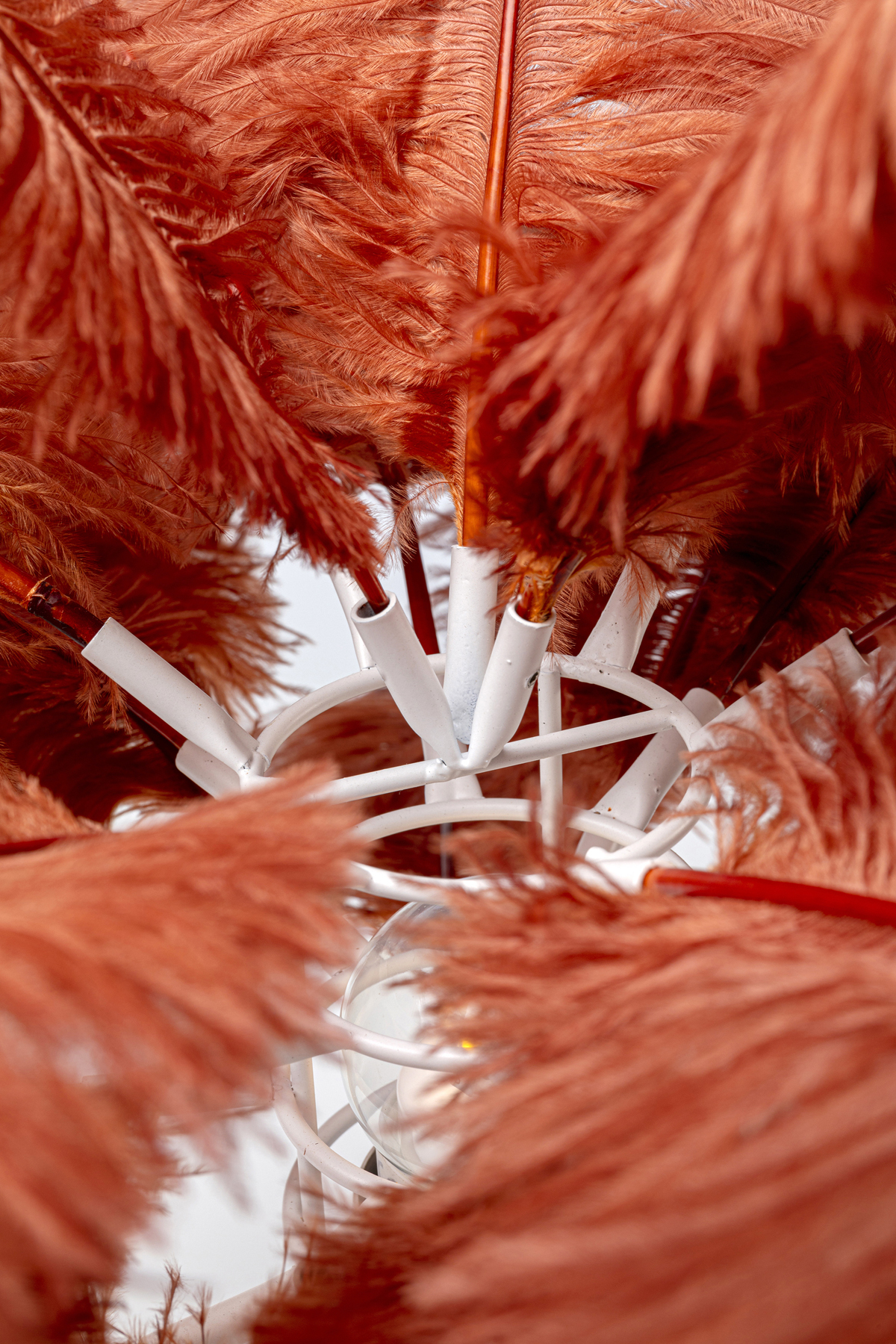 Tischleuchte Feather Palm, rot, messing - Leuchten