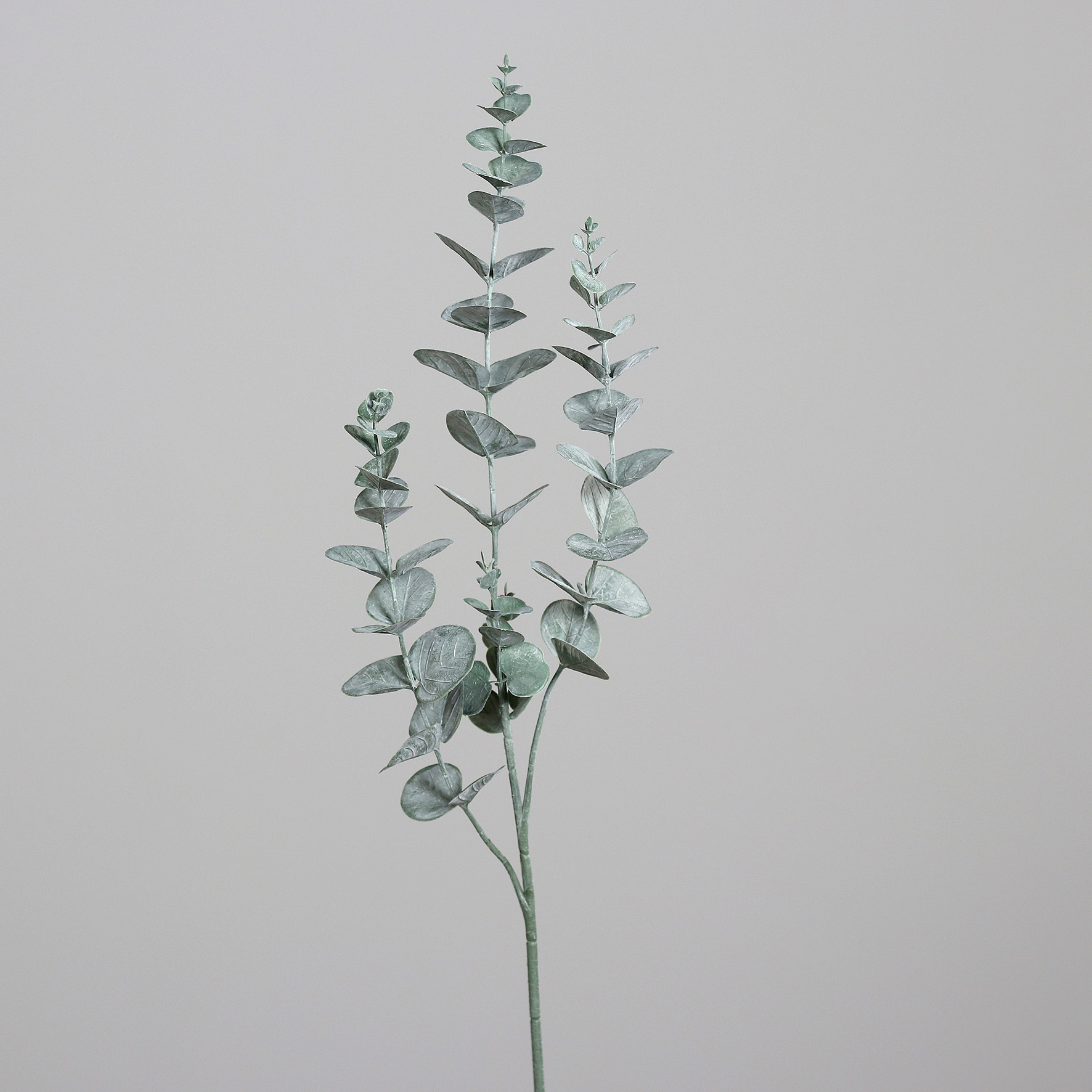 Eukalyptus, ca.  76 cm - grün
